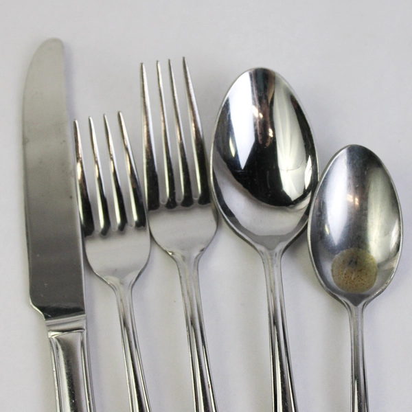 5 Piece Cambridge Anastasia Silverware Set Stainless Steel Fork Knife Spoon