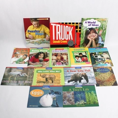 Lot of 14 Children's Early Reading Practice Books Elementary Learning & Literacy