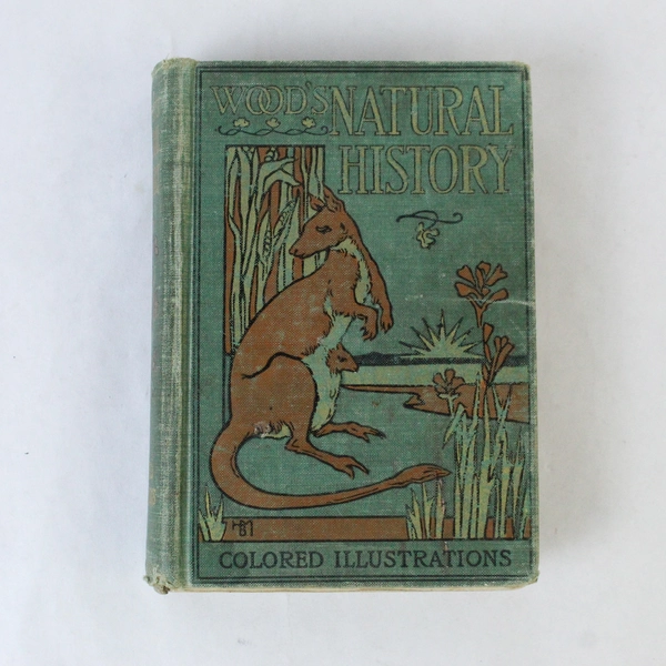 Wood's Natural History Of Man Colored Illustrations David Mckay Hardcover