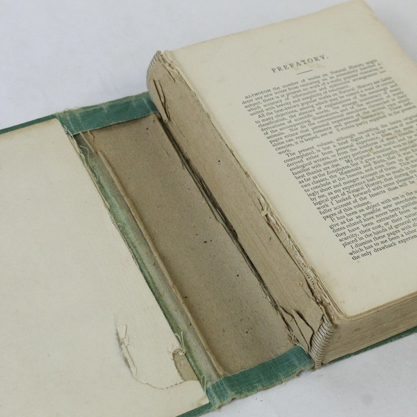 Wood's Natural History Of Man Colored Illustrations David Mckay Hardcover