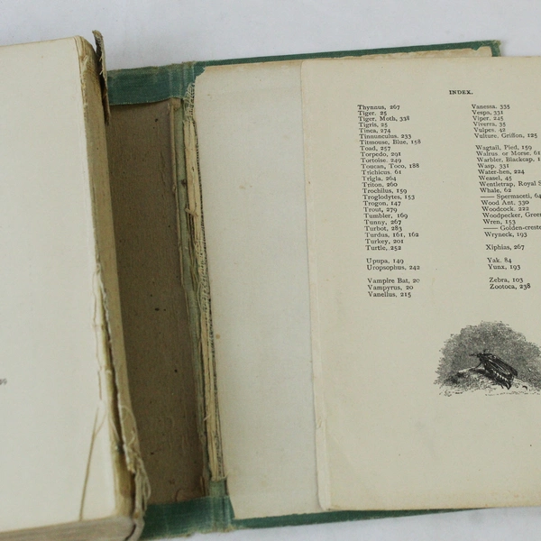 Wood's Natural History Of Man Colored Illustrations David Mckay Hardcover