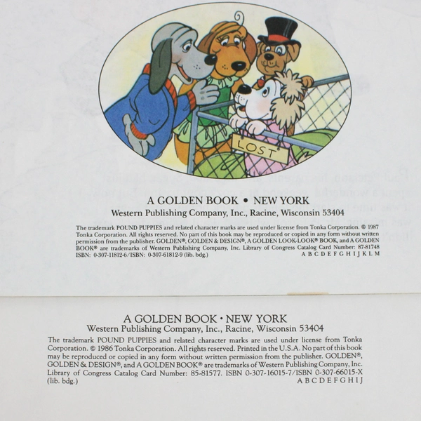 Lot of 2 Vintage 1980s Golden Book Pound Puppies Paperback Kids' Books