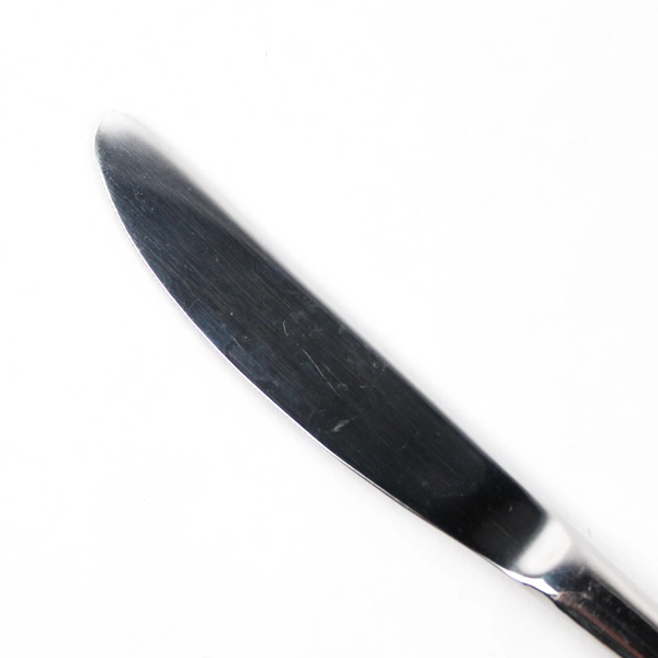 Lot of 6 Cambridge Dinner Knives, CBS114 Stainless Steel 8 7/8"