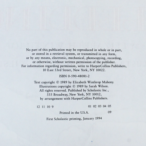 Sledding by Elizabeth Winthrop, Illustrated by Sarah Wilson, 1989 Paperback