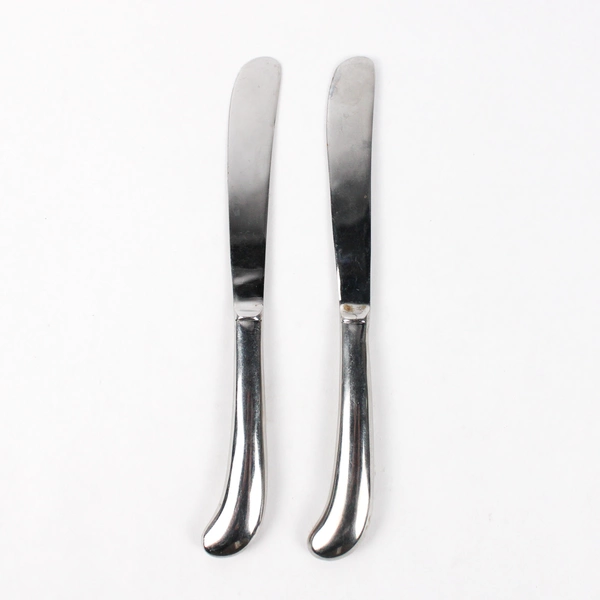 Lot of 2 Cambridge Dinner Knives, American Pride Stainless Steel 9 3/8"