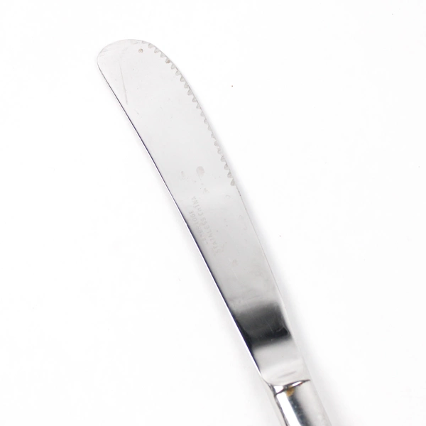 Lot of 2 Cambridge Dinner Knives, American Pride Stainless Steel 9 3/8"