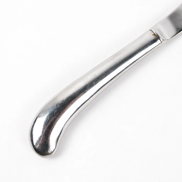 Lot of 2 Cambridge Dinner Knives, American Pride Stainless Steel 9 3/8"