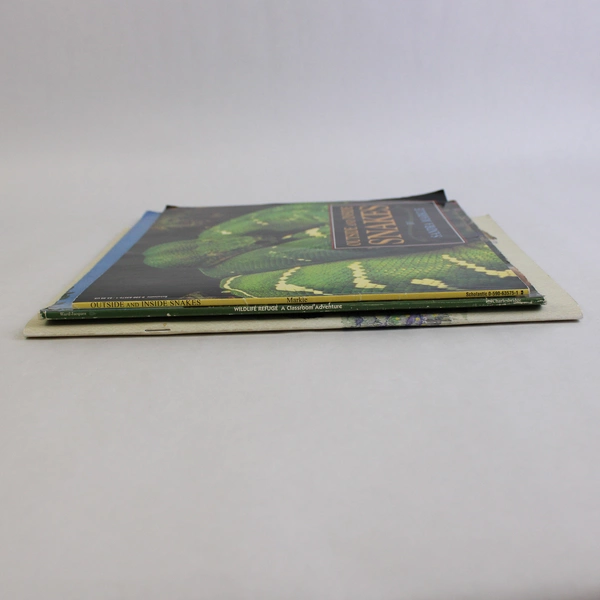 Lot of 3 Kids Books Wolves Snakes Wildlife Animal Stories & Activities Paperback