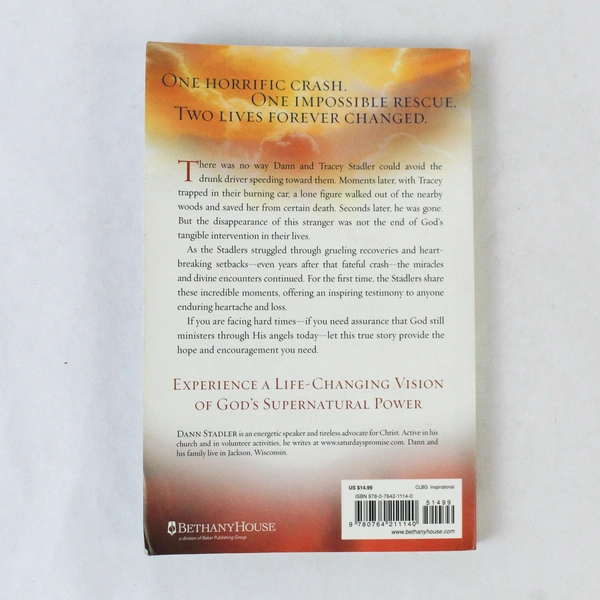 Angels in the Fire by Dann Stadler 2013 Paperback - Good Condition