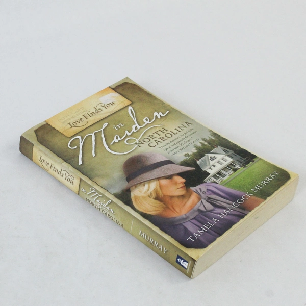 Love Finds You in Maiden North Carolina by Tamela Hancock Murray 2009 PB