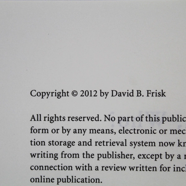 If Not Us Who? by David B. Frisk 2012 Hardcover w/Dust Jacket - Stain