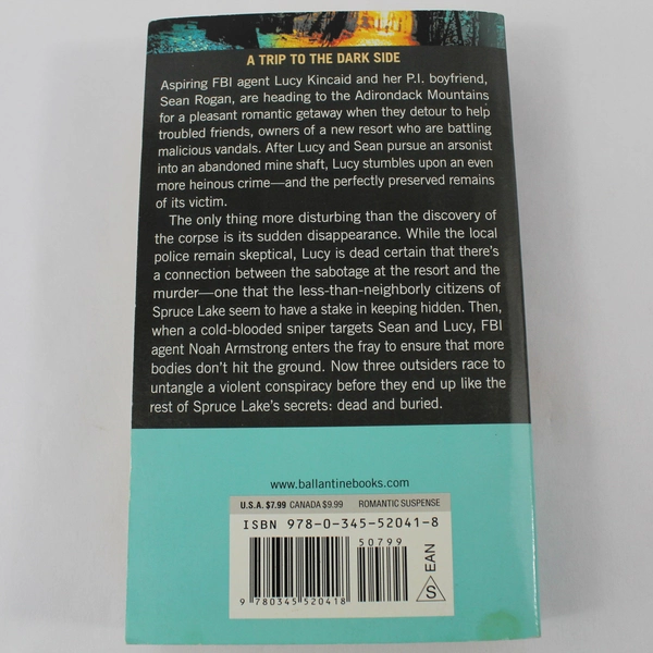 If I Should Die by Allison Brennan 2011 Paperback Suspense Novel Pre-owned