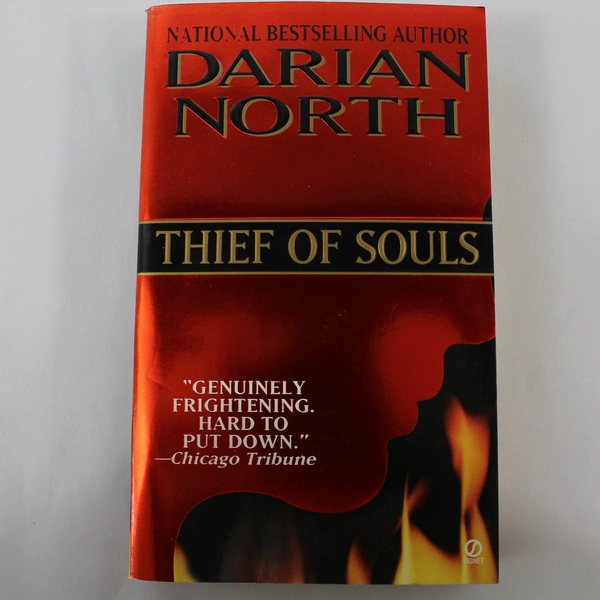 Thief of Souls by Darian North 1998 Penguin Psych Thriller Novel - Pre-owned