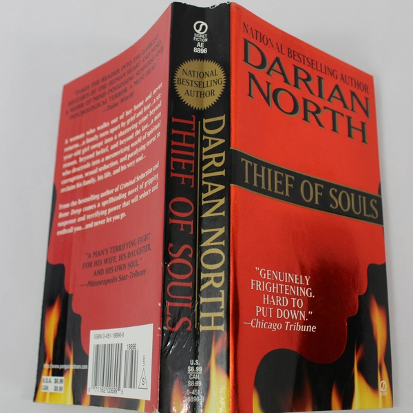 Thief of Souls by Darian North 1998 Penguin Psych Thriller Novel - Pre-owned