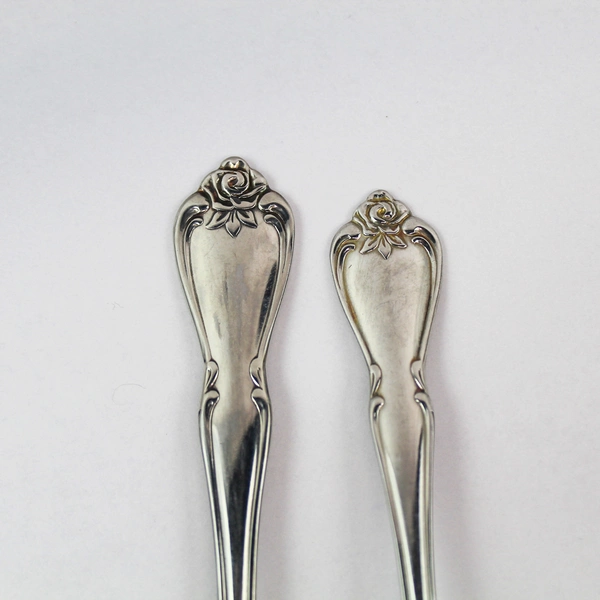 Oneida Arbor Rose Fork & Spoon Set 1881 Rogers Stainless Flatware Utensils