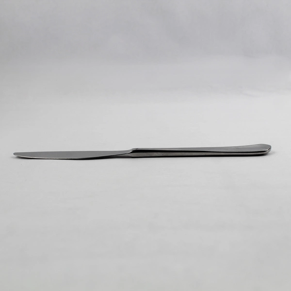 Lot of 6 Food Network Clove Place Dinner Knives, 9.25" Stainless Steel Flatware