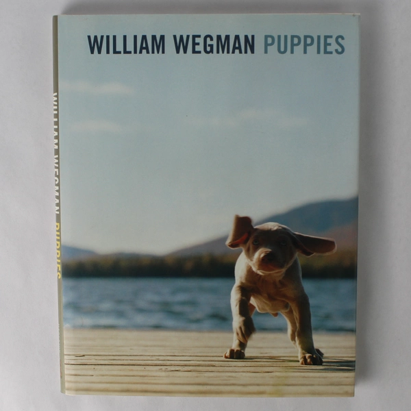 Puppies by William Wegman 1997 Hyperion Books First Edition Hardcover