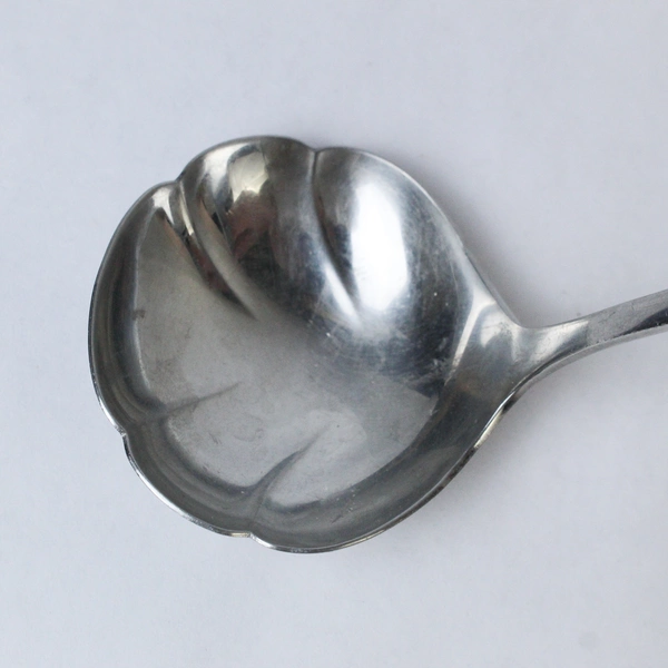 Oneida Stainless Steel Engraved Ladle Spoon Rose Filigree Design 8"