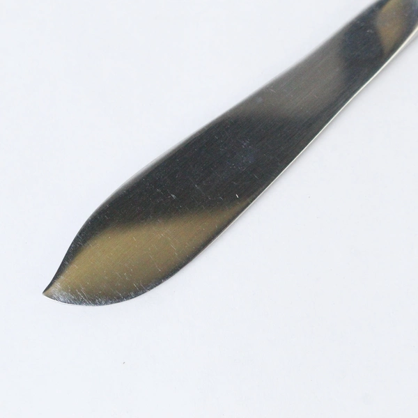 1847 Rogers Bros Golden Centennial Butter Knife - Silverplate Gilded