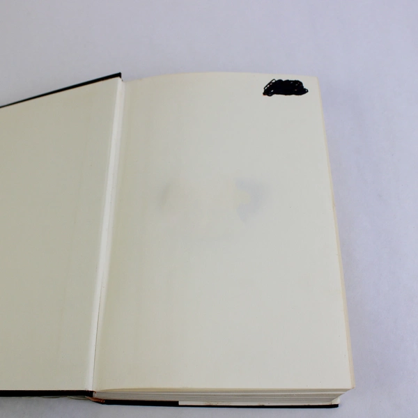 The City In History by Lewis Mumford 1961 Hardcover First Edition