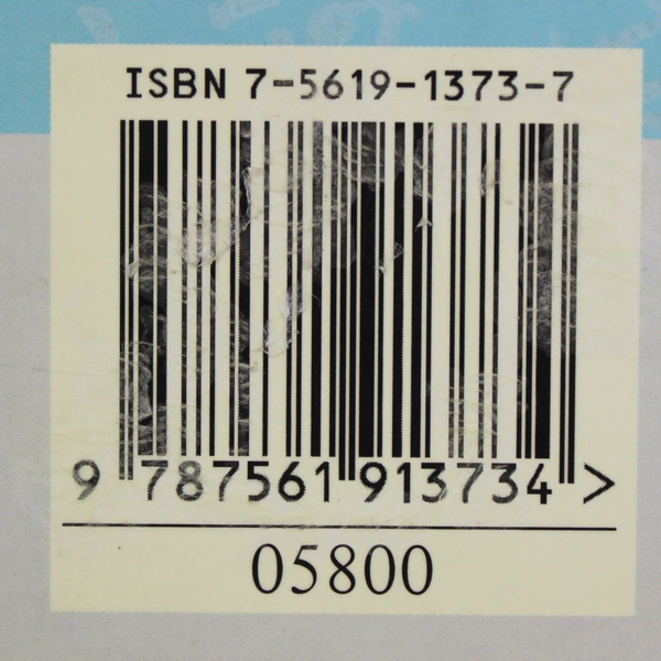 EasyChin Magical Chinese Characters Book 1 2004 with CD - Pre-owned