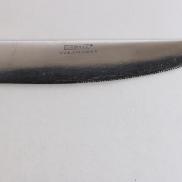 Lot of 6 Cambridge Flatware Blossom Sand (Stainless) New French Solid Knives