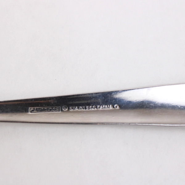 Lot of 4 Cambridge Flatware Zinnia Sand (Stainless) 3 Soup Spoons & 1 Teaspoon