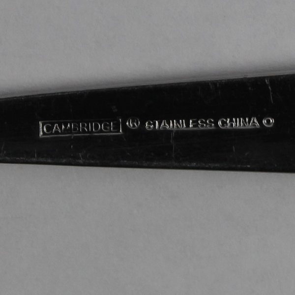 Lot of 2 Cambridge Flatware Zinnia Sand Stainless Slotted & Not Serving Spoons