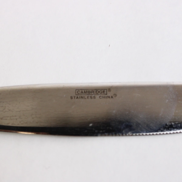 Lot of 4 Cambridge Flatware Zinnia Sand (Stainless) Modern Solid Knife