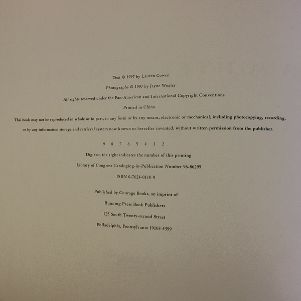 Daughters & Mothers by Jayne Wexler & Lauren Cowen 1997 Hardcover Dust Jacket