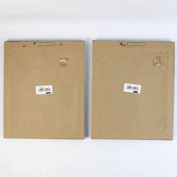 Lot of 2 Framed Prints by Caroline Jayne Church Bathroom Animal Illustrations