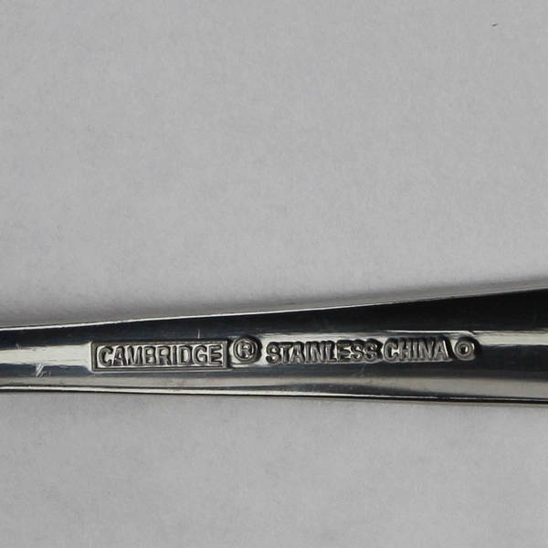 Lot of 5 Cambridge Flatware Dambury Mirror Stainless 3 Salad Forks 2 Teaspoons