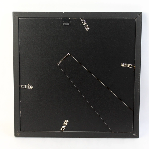 Framed Completed Parakeet Diamond Art Painting 12 x12 Inch