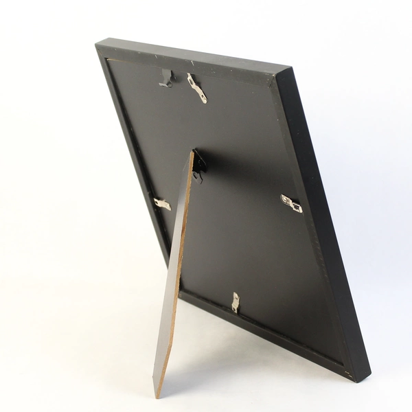 Framed Completed Parakeet Diamond Art Painting 12 x12 Inch