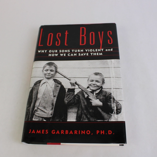 Lost Boys Why Our Sons Turn Violent by James Garbarino 1999 Hardcover DJ