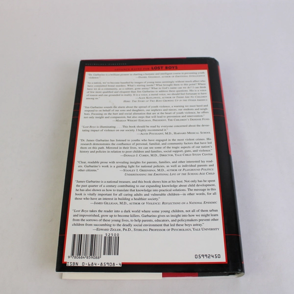 Lost Boys Why Our Sons Turn Violent by James Garbarino 1999 Hardcover DJ