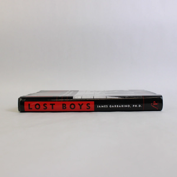 Lost Boys Why Our Sons Turn Violent by James Garbarino 1999 Hardcover DJ