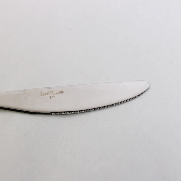 Lot of 8 Cambridge Flatware Yardena (Stainless) Modern Solid Knives