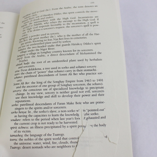 In Sorcery's Shadow A Memoir Paul Stoller Cheryl Olkes 1989 Paperback