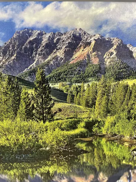 Tim Fitzharris Framed iCanvas Photo Print Easely Peak Sawtooth National Forest 