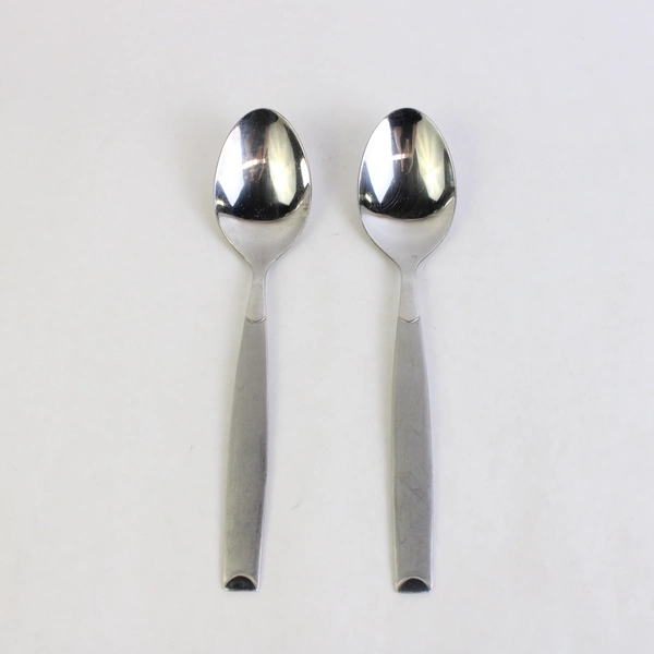 Lot Of 2 Cambridge Flatware Kiona Sand (Stainless) Serving Spoons