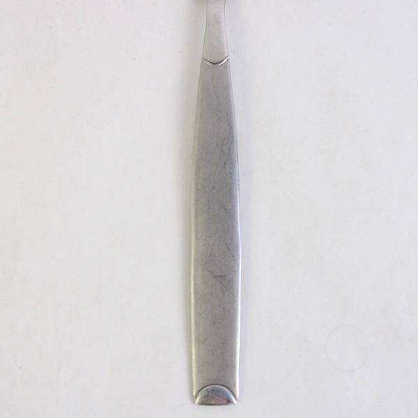 Lot Of 2 Cambridge Flatware Kiona Sand (Stainless) Serving Spoons