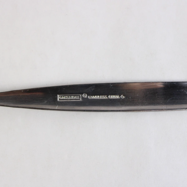 Lot Of 2 Cambridge Flatware Kiona Sand (Stainless) Serving Spoons