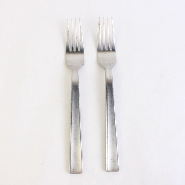 Lot of 2 Cambridge Destiny Salad Forks, 6 7/8" Stainless Flatware