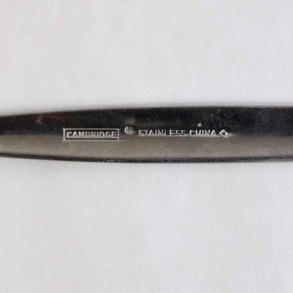 Lot Of 8 Cambridge Flatware Kiona Sand (Stainless) Salad Forks