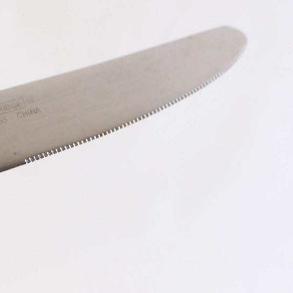 Lot of 6 Cambridge Destiny Dinner Knives, 9.5" Stainless Flatware