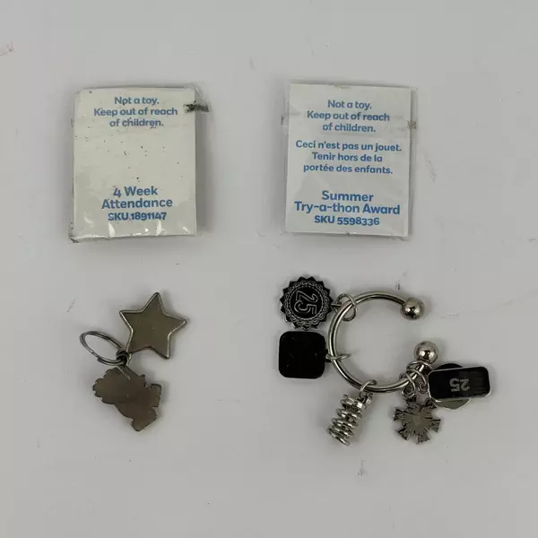 2 Weight Watchers Key Rings with Motivational Charms Weight Loss Accessory