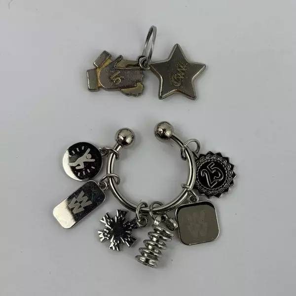 2 Weight Watchers Key Rings with Motivational Charms Weight Loss Accessory