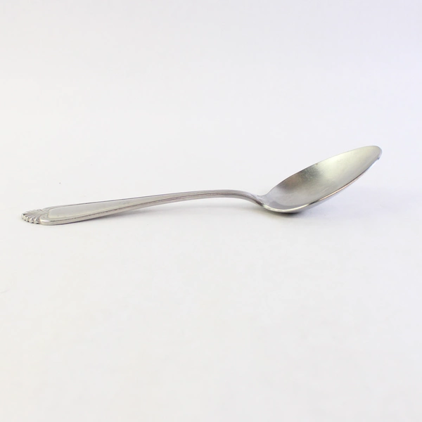 Reed & Barton RDS72 Solid Serving Spoon, 8" Stainless Steel Flatware