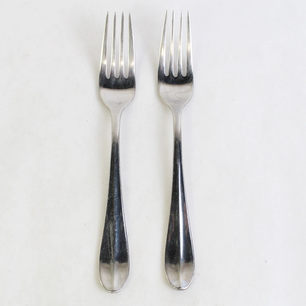 Lot of 2 Hampton Silversmiths Elaine Salad Forks 7" Stainless Flatware